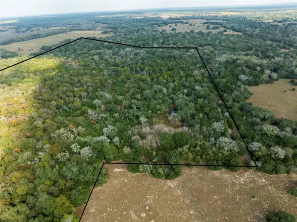 TBD County Road 12, Hallettsville, TX 77964