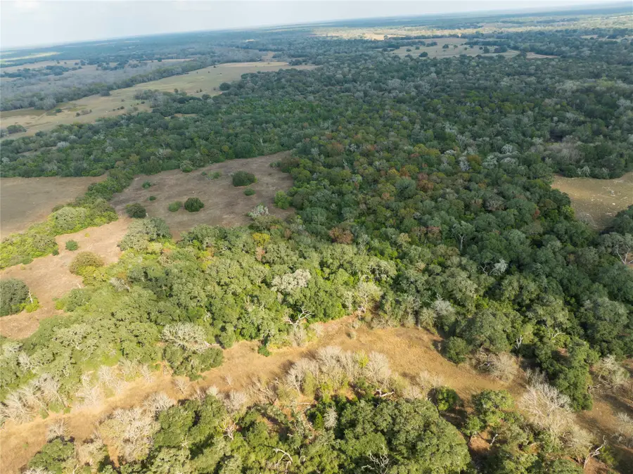 TBD County Road 12, Hallettsville, TX 77964 - #3