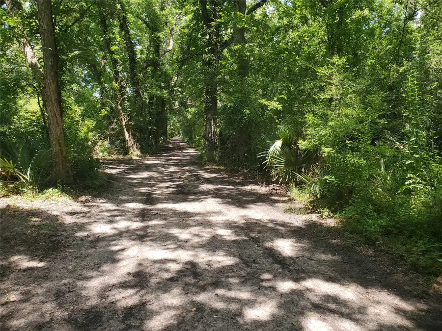 000 County Road 488b, Sweeny, TX 77480 - #3