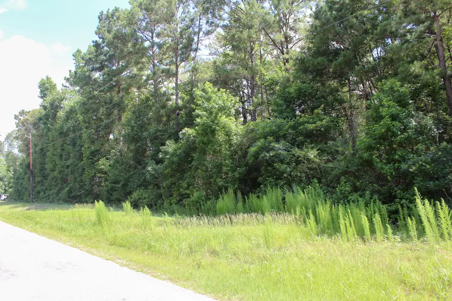 3B-15-22 Fire Sky Road, Huntsville, TX 77340 - #2
