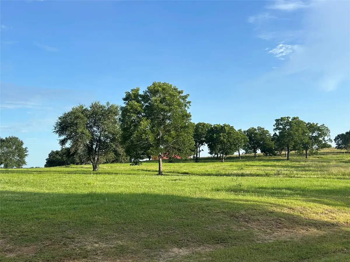 TBD Sunshine Court, Chappell Hill, TX 77426 - #1