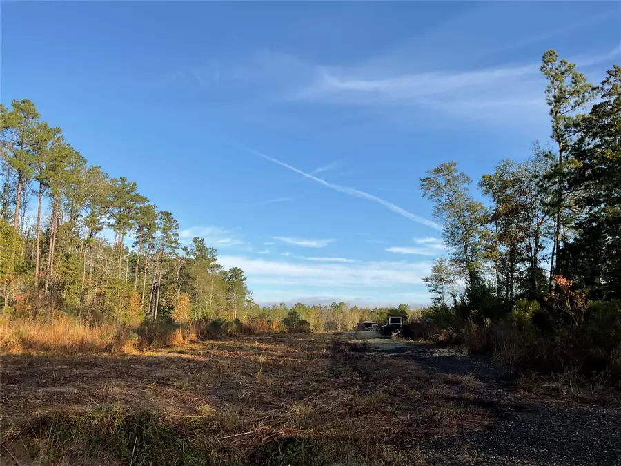 319 County Road 4050, Woodville, TX 75979 - Image #2