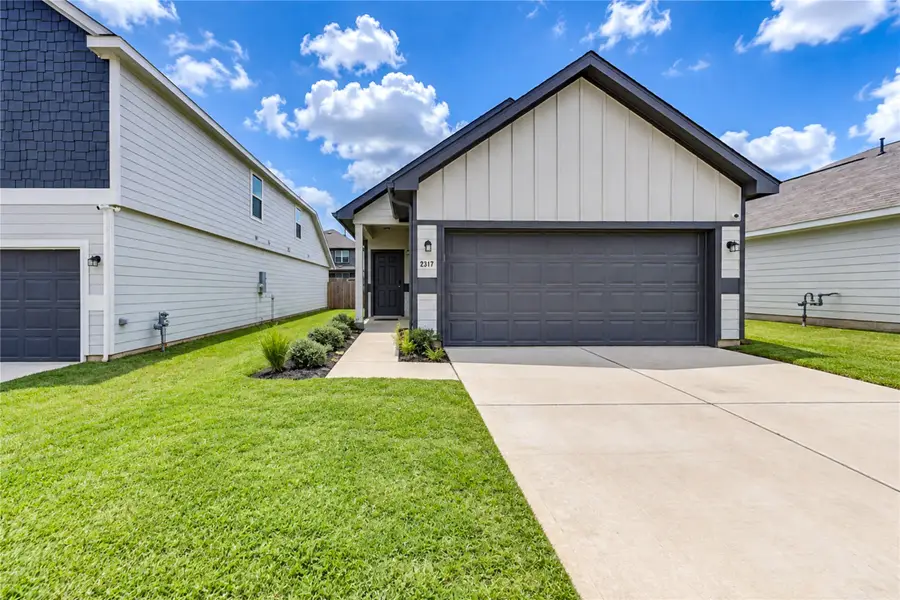 2317 Green Sturgeon Court, Conroe, TX 77384 - #2