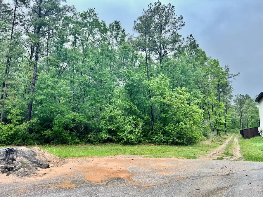 1069 Runner Drive, Dayton, TX 77535 - #3