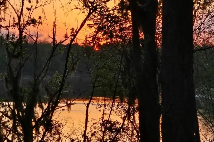 174 Hideaway Lane, Goodrich, TX 77335 - #2