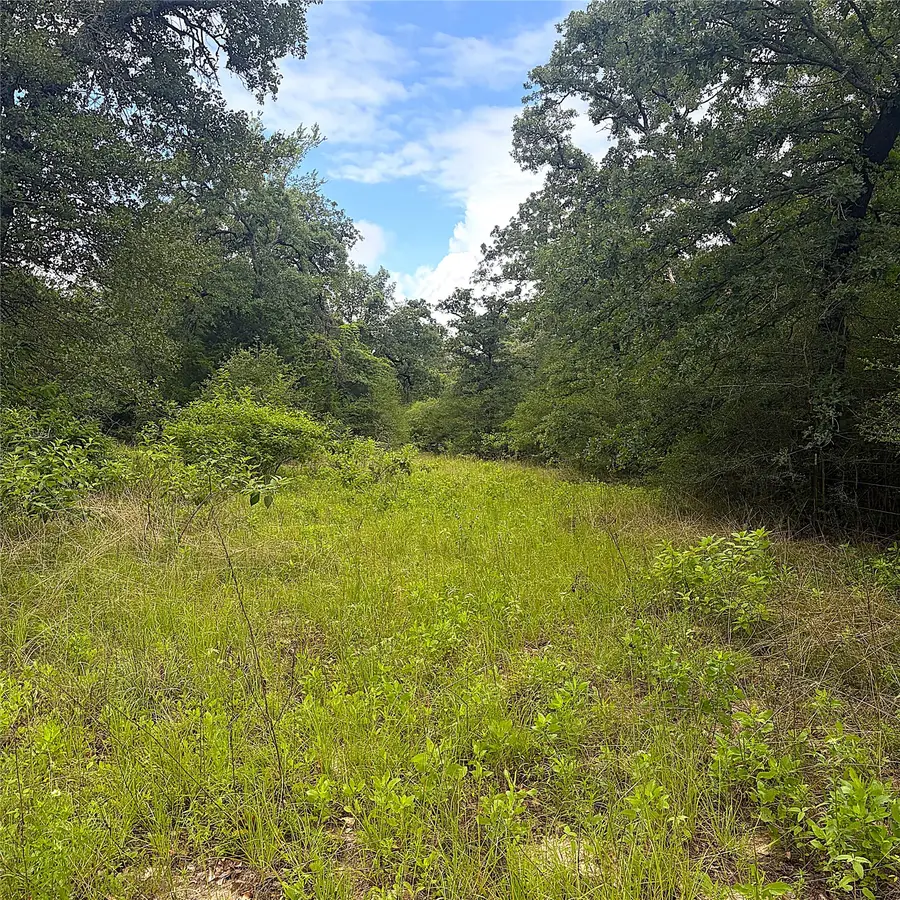TBD Pr 4045, Centerville, TX 75833 - #2