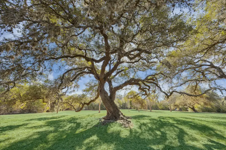 509 N Live Oak Street, Round Top, TX 78954 - Image #2