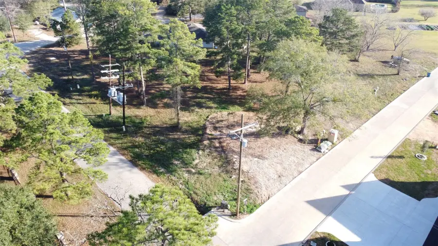 16716 Falcon Point Drive, Montgomery, TX 77356 - Image #2