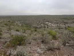 TBD Tract 1, Sanderson River Ranch, Dryden, TX 78851 - #2