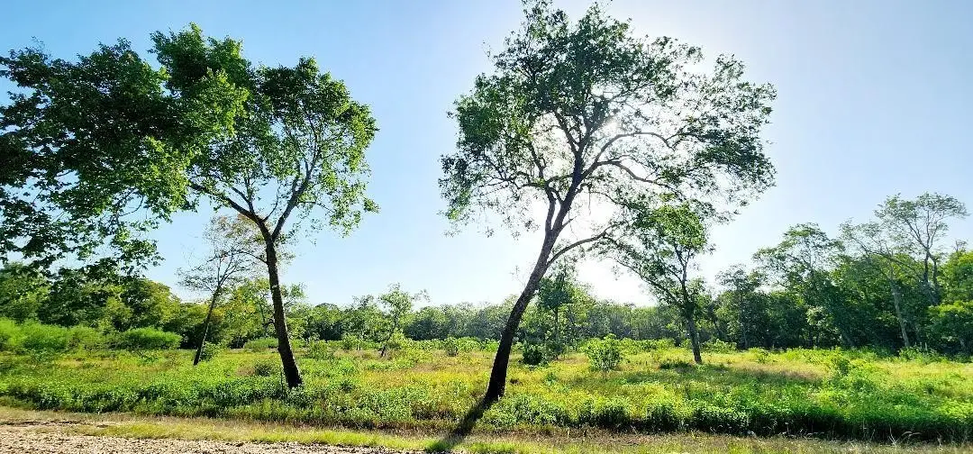 0 Baldwin Drive, Hungerford, TX 77448 - #1