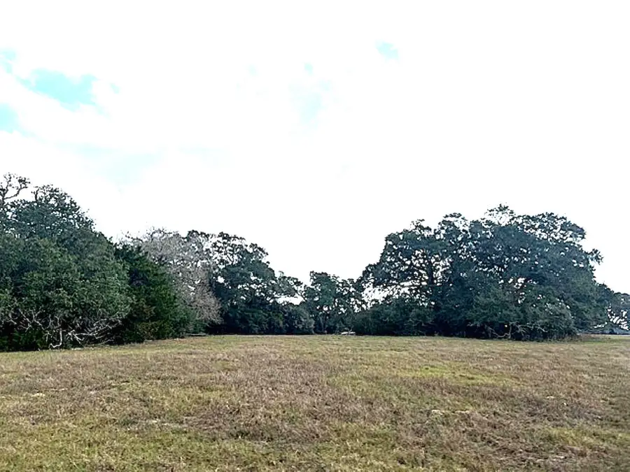 TBD 20 Acres Cat Spring Road, Cat Spring, TX 78933 - Image #2