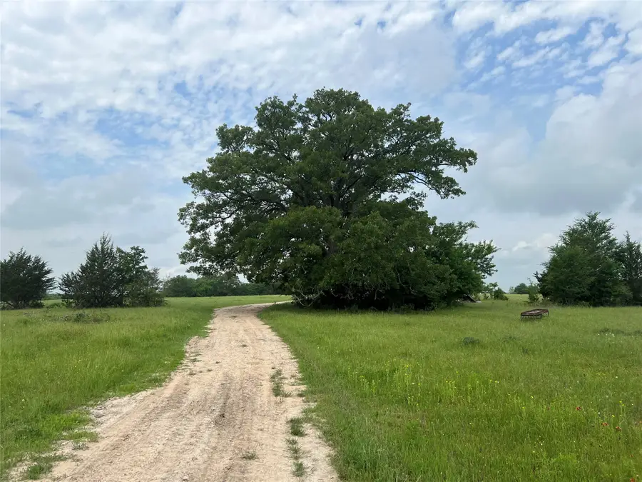 R13945 A0049J Peterson Tract 50 Acres, Anderson, TX 77830 - #2