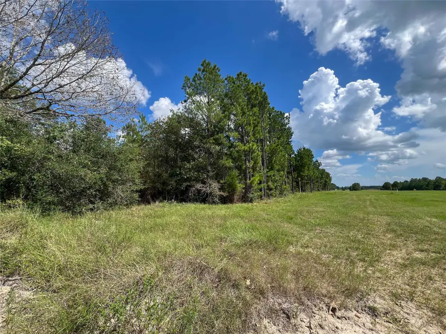 T-22A State Highway 94, Groveton, TX 75845 - #2