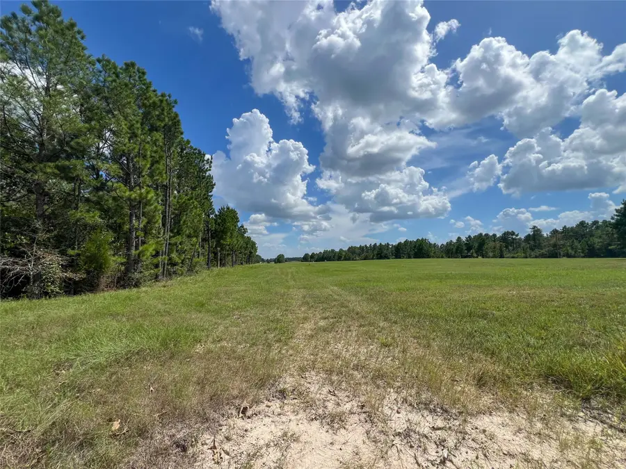 T-22A State Highway 94, Groveton, TX 75845 - #3