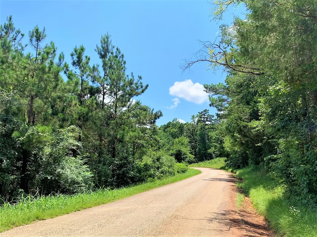 558 County Road 4101, Jacksonville, TX 75766 - #1