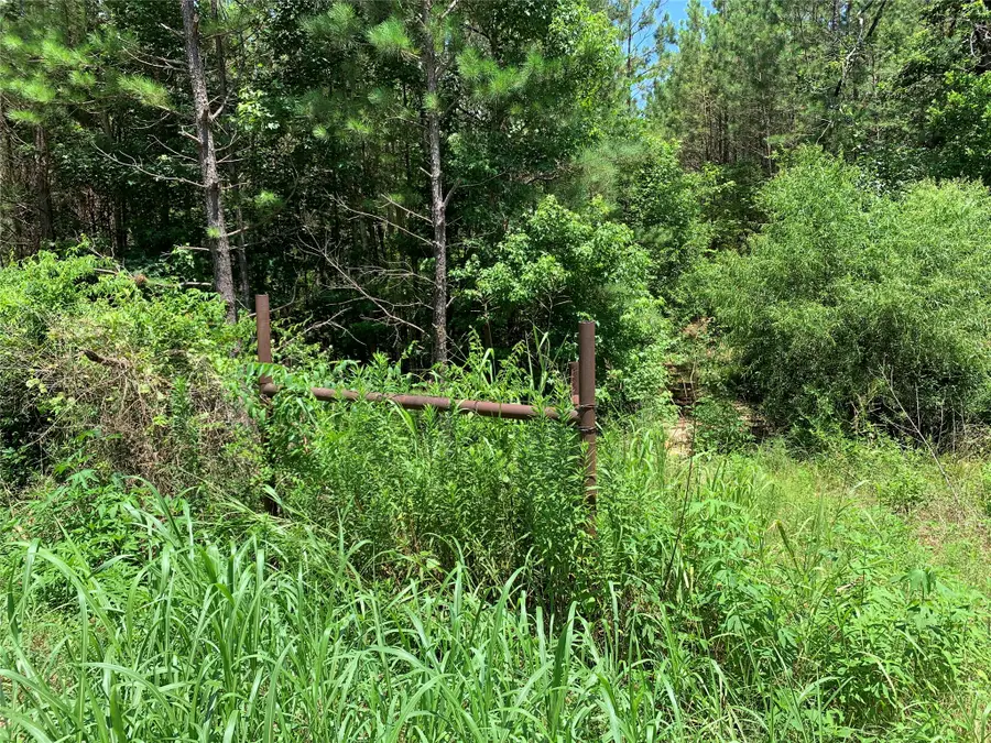 558 County Road 4101, Jacksonville, TX 75766 - #2