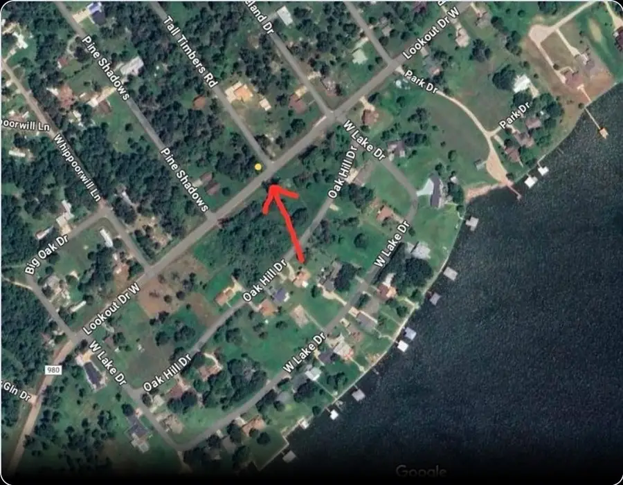 Lot 3 Fm 980 S, Point Blank, TX 77364 - Image #2