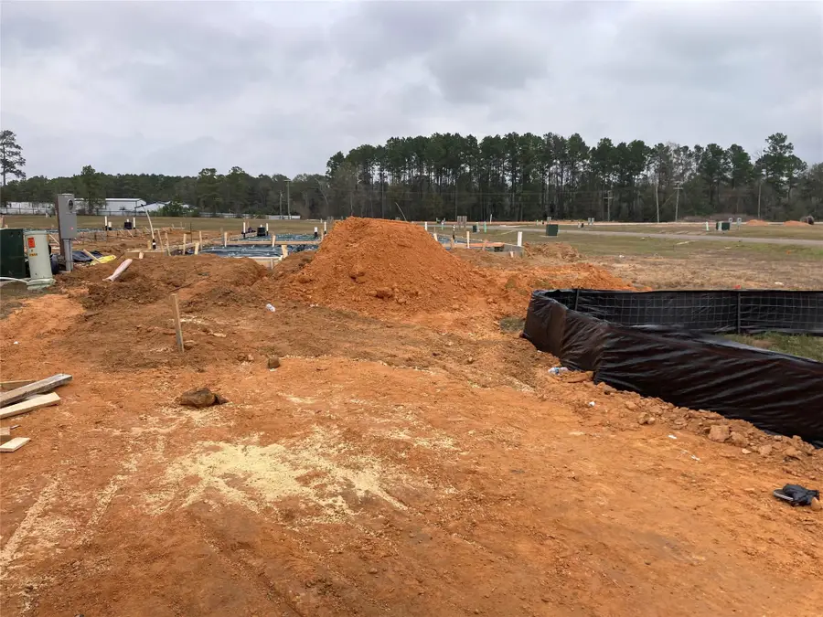 17863 Lionheart Road, Conroe, TX 77306 - Image #2