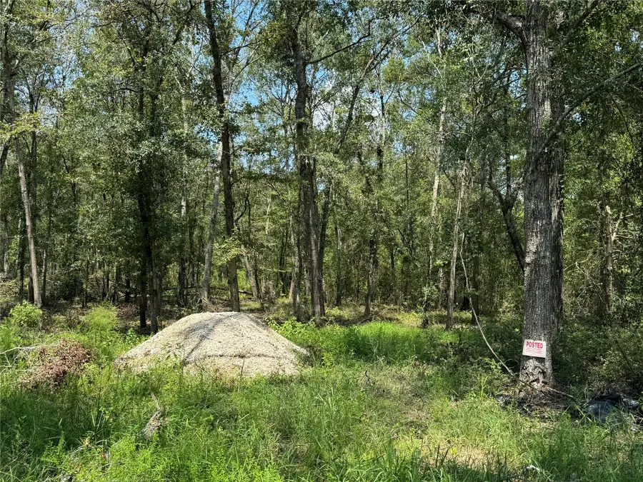 19959 Old Highway 105, Cleveland, TX 77328 - #2