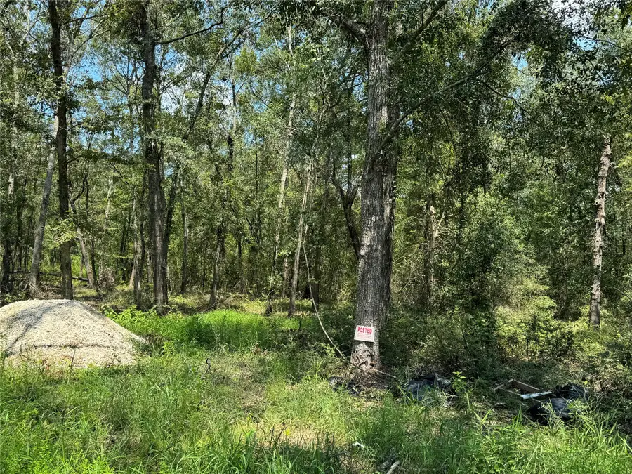 19959 Old Highway 105, Cleveland, TX 77328 - #3