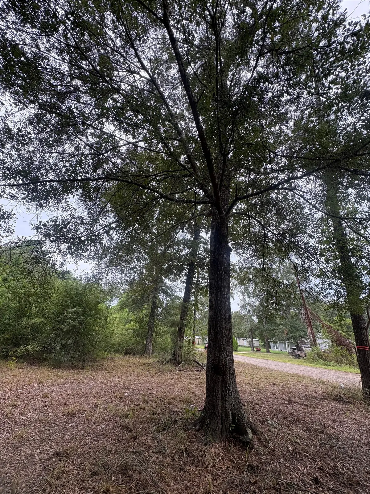 27418 Coral Road, Splendora, TX 77372 - #1
