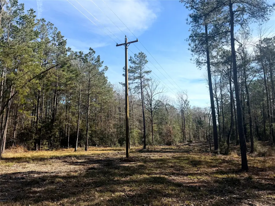 00 Fm 83, Bronson, TX 75930 - #3