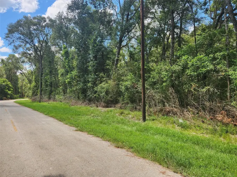 TBD Idlewild, New Caney, TX 77357 - #2
