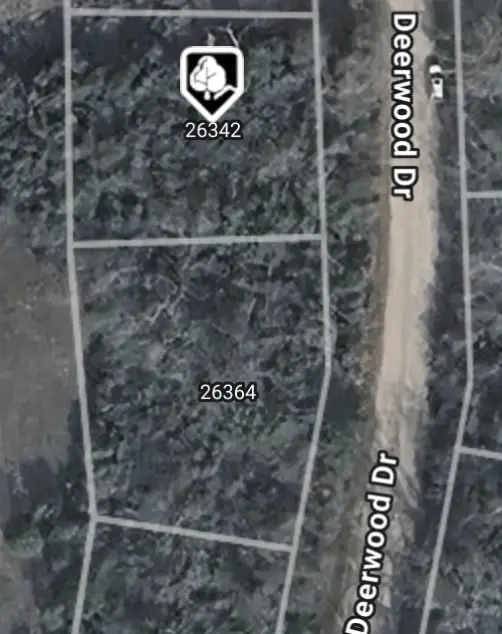 26342 Deerwood Drive, Hempstead, TX 77445 - #3