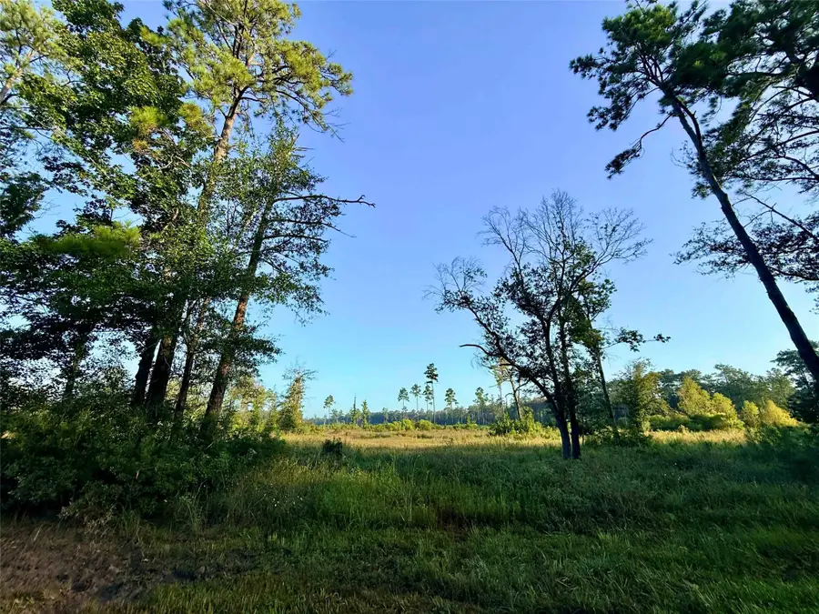 000 Fm 1003, Kountze, TX 77625 - #2