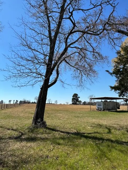 0 County Road 2235, Grapeland, TX 75844 - #3