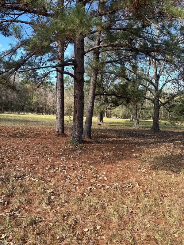 2956 Us Highway 59 S, Livingston, TX 77351-2194