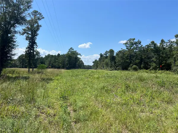 TBD 3 3152 Road, Livingston, TX 77351