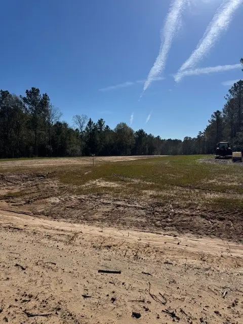 TBD Redhead Road, Livingston, TX 77351 - #1