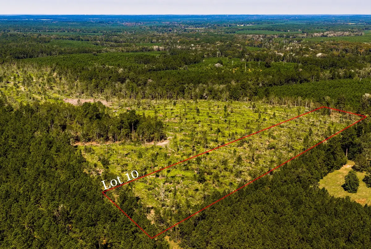 010 Buddy Lloyd Rd, Livingston, TX 77351 - #1