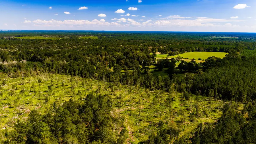 010 Buddy Lloyd Rd, Livingston, TX 77351 - #3