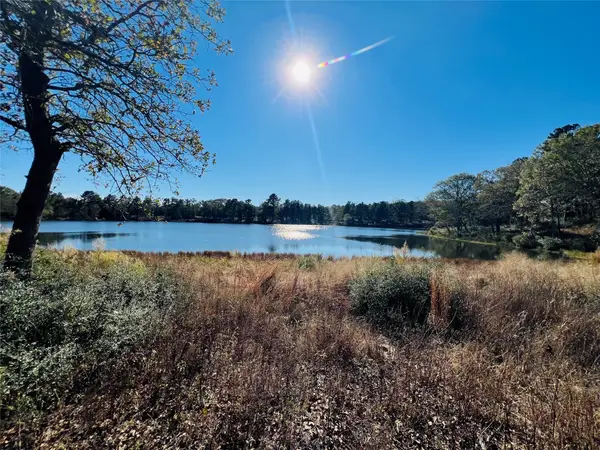 Lot 112 Private Road 1313, Centerville, TX 75833