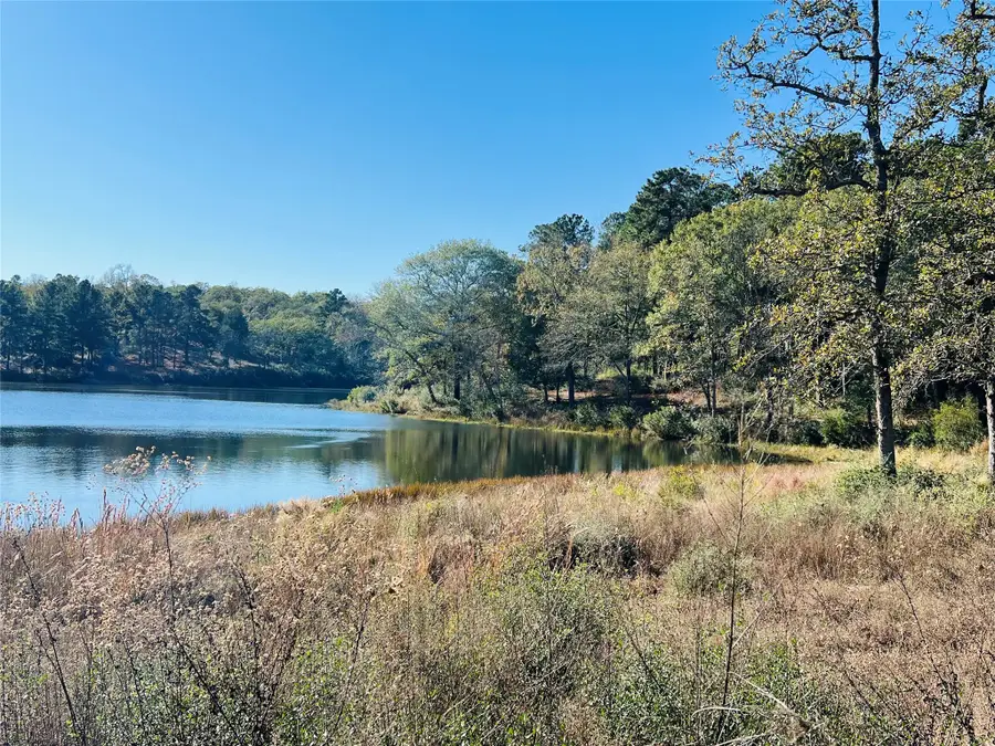 Lot 112 Private Road 1313, Centerville, TX 75833 - Image #3