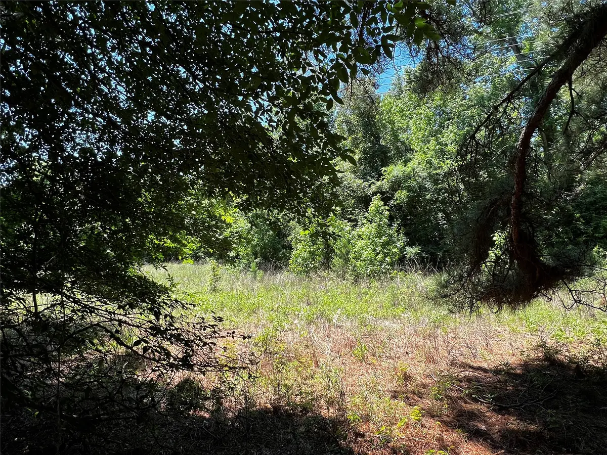 9546 County Road 112, Centerville, TX 75833 - #1