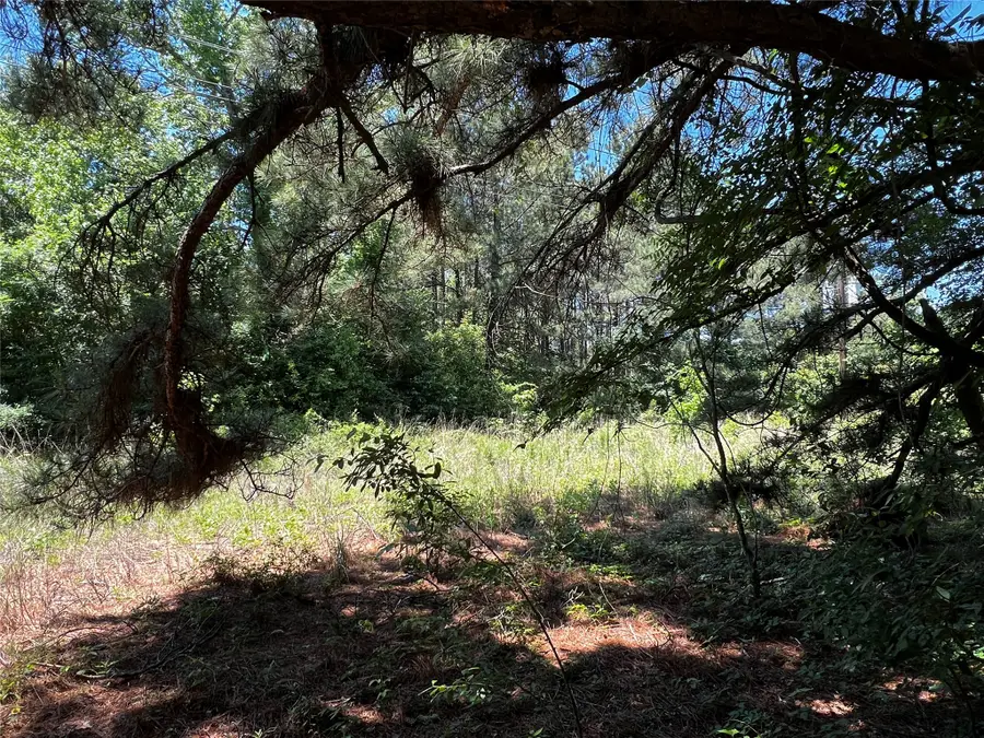 9546 County Road 112, Centerville, TX 75833 - #2