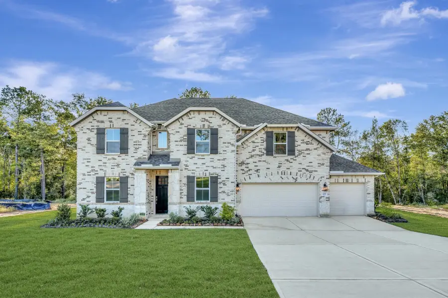 123 Roebuck Lane, New Waverly, TX 77358 - #2