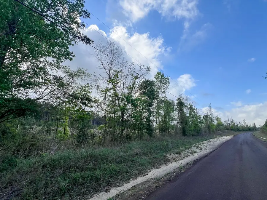 000 Highway 190, Woodville, TX 75979 - #3