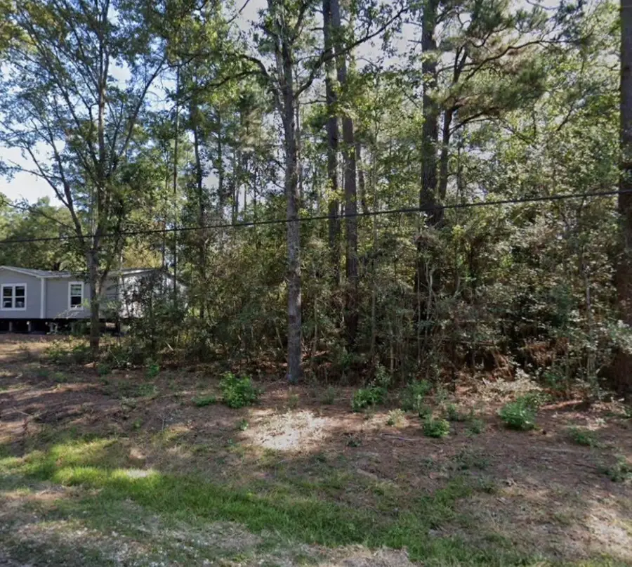 00 Walnut Drive, Montgomery, TX 77356 - Image #2