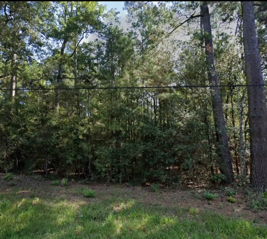 00 Walnut Drive, Montgomery, TX 77356 - Image #3