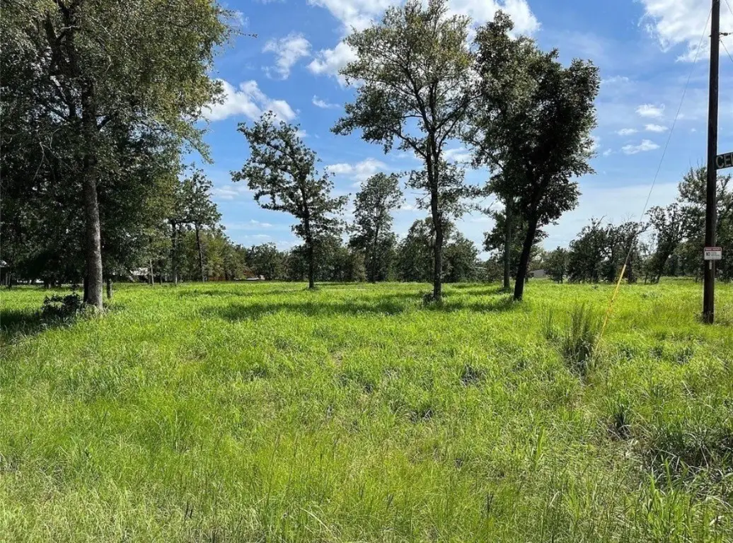 TBD Hickory Loop, Thornton, TX 76687 - #1