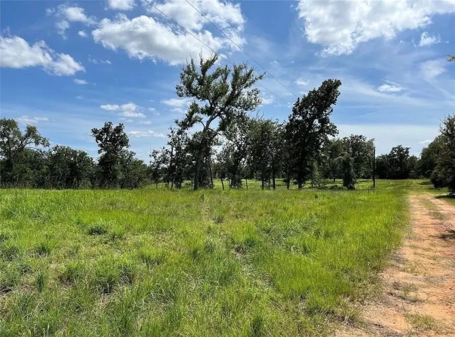 TBD Hickory Loop, Thornton, TX 76687 - #2