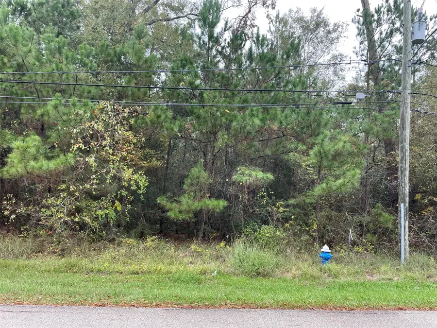 000 Big Deer Drive, Crosby, TX 77532 - Image #2