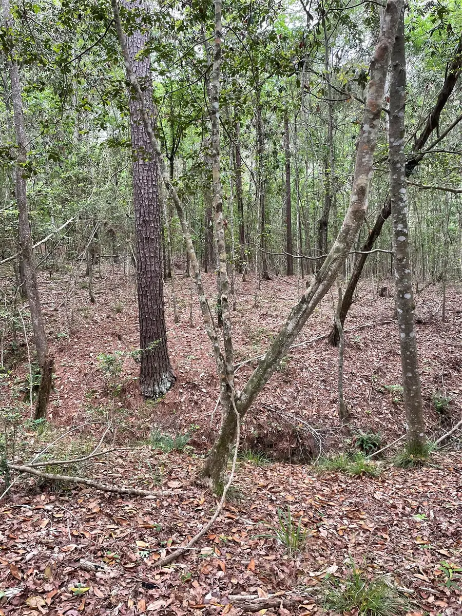 1482 Tony Peebles Road, Livingston, TX 77351 - #2