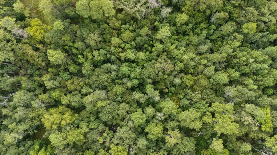 00 E West Street, Livingston, TX 77351 - #2