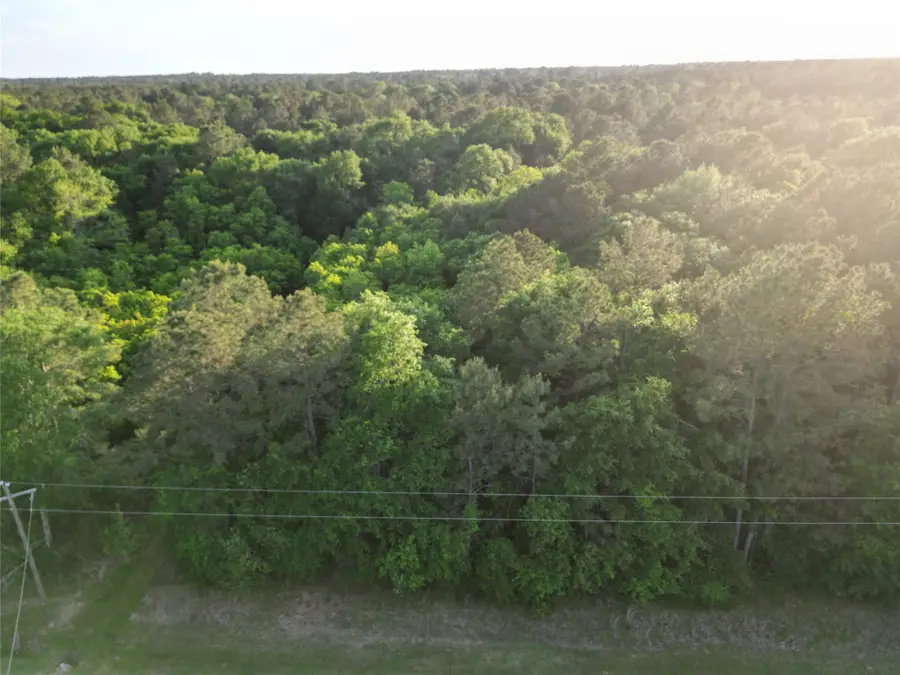 17746 Derby Drive, Waller, TX 77484 - #2