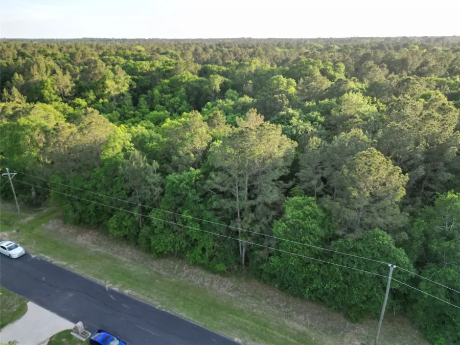 17746 Derby Drive, Waller, TX 77484 - #3